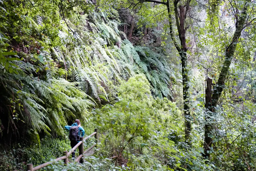 Image La Palma - 8 jours