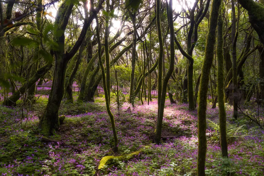 Mukilp22 Adobestock