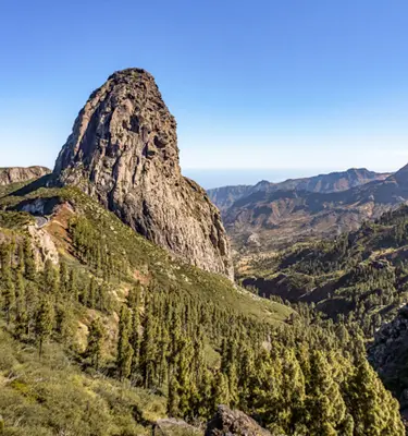gomera-parc-garajonay