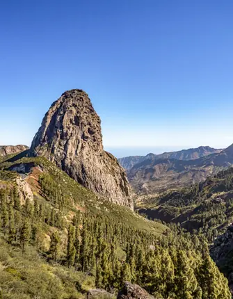 doleesi-adobestock gomera-parc-garajonay