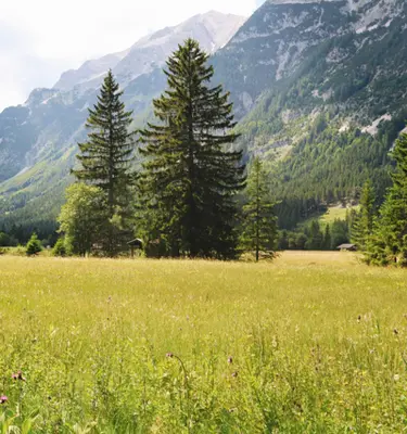 alpes-bavaroise-zugspitze