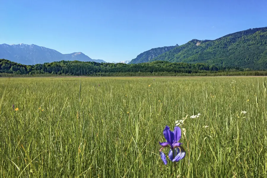 panorama sur les massifs alpins
