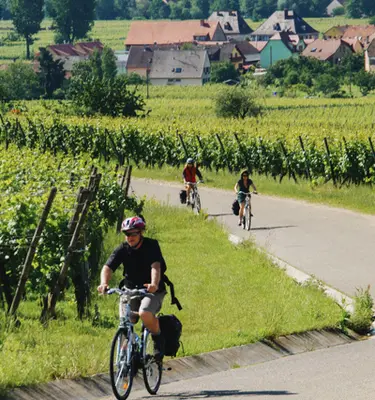 entre-kaysersberg-riquewihr