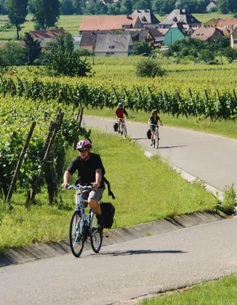 entre-kaysersberg-riquewihr