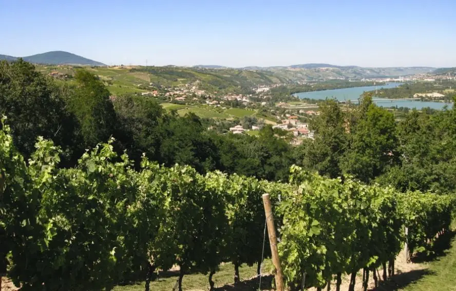 Trek - France : Vignobles des Côtes-du-Rhône