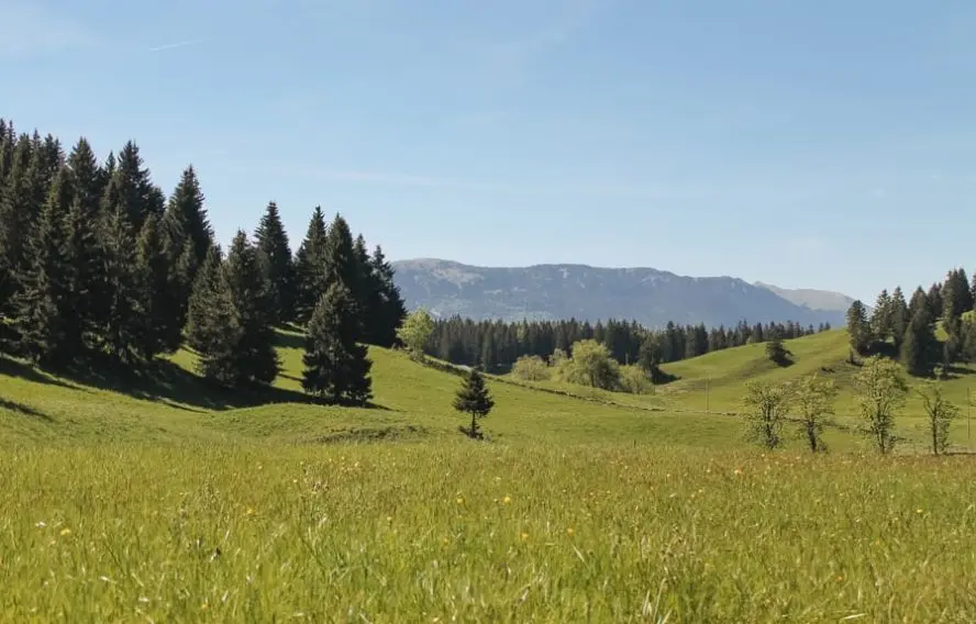 Trek - France : La grande traversée du Jura