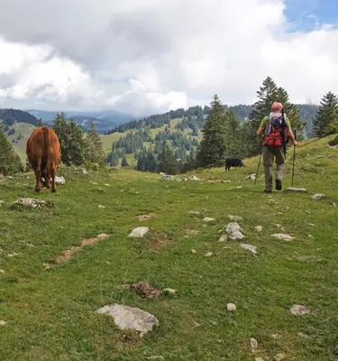 sommet-dole-traverse-jura