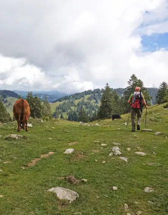 sommet-dole-traverse-jura