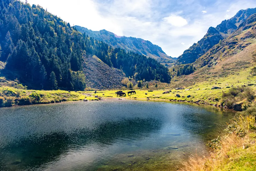 Warpedgalerie Adobestock