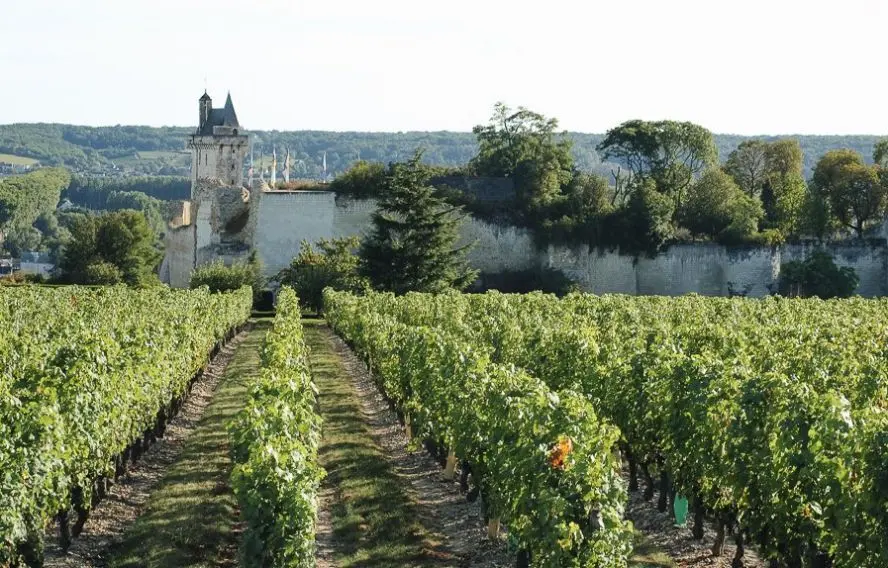 P. Saint-Jean