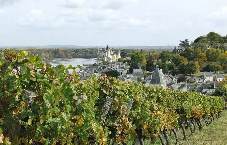 Voyage à vélo - France : Les châteaux de la Loire à vélo, de Blois à Saumur