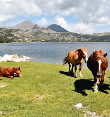 lac-bouillouses-cerdagne-capcir