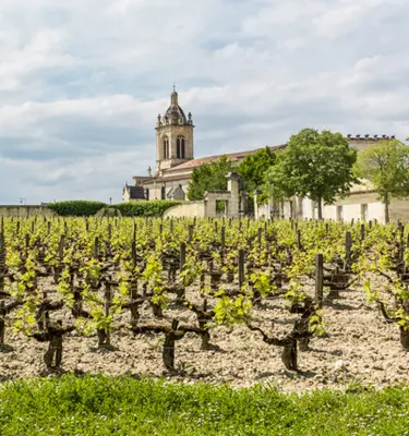 vignobles-medoc-velo