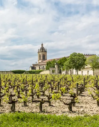 vignobles-medoc-velo