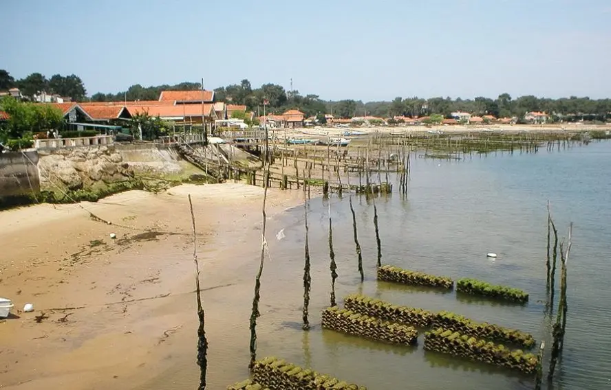 Tour du bassin d'Arcachon à vélo