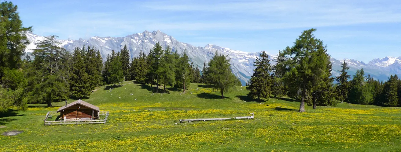 bisses-du-valais