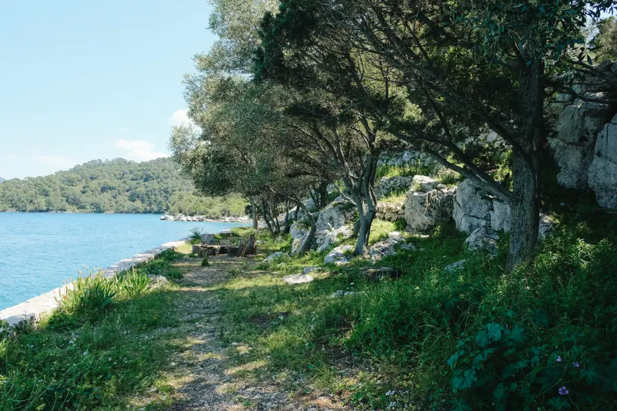 Découverte de l'île de Mljet