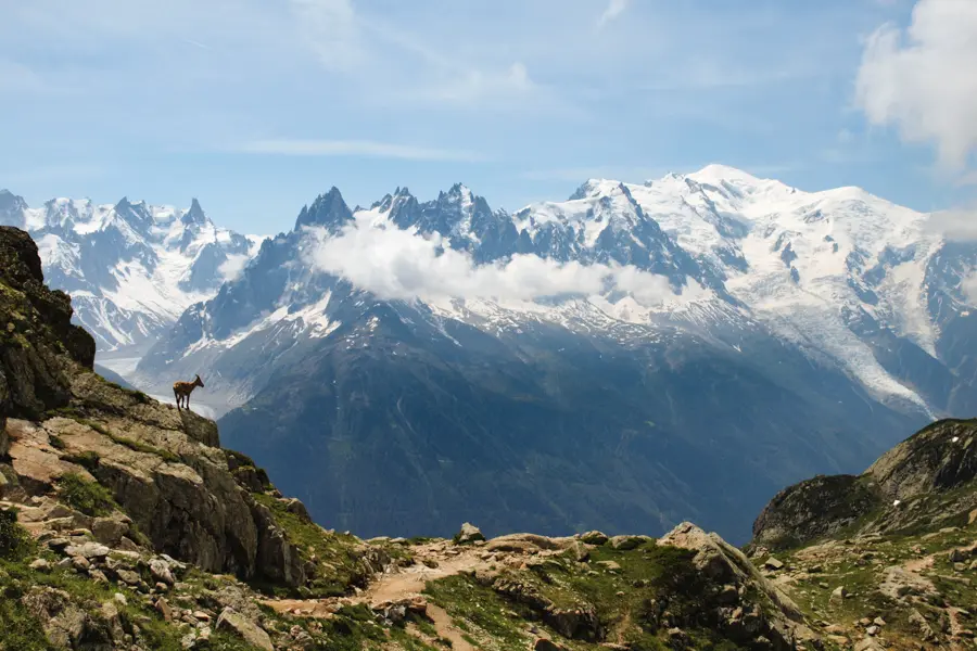 Trek - Tour du Mont-Blanc intégral - 9 jours