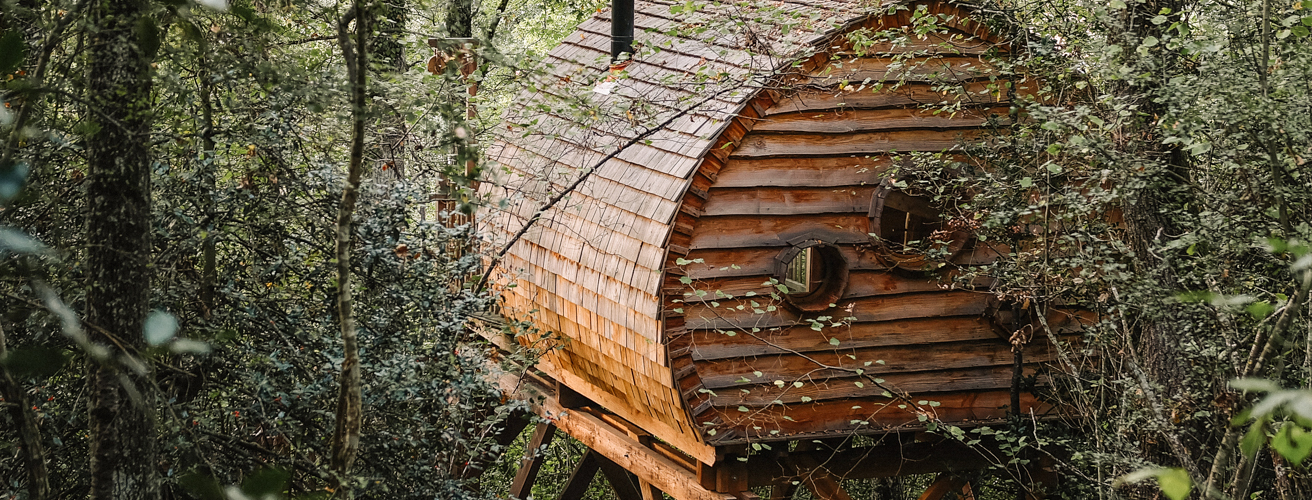 insolite-cabane