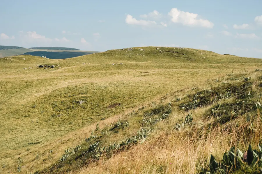 Plateau du Cézallier