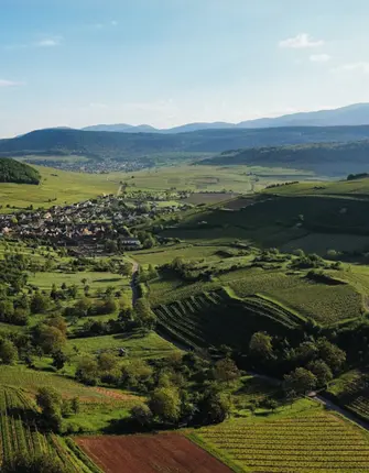 aurelien-chateaudon-unsplash