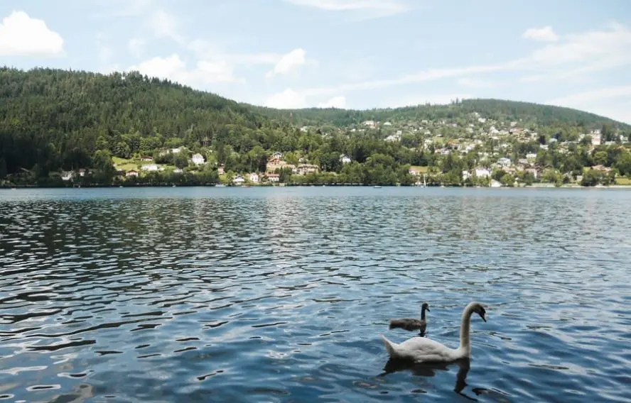 Parc Naturel des Ballons des Vosges - 6 jours