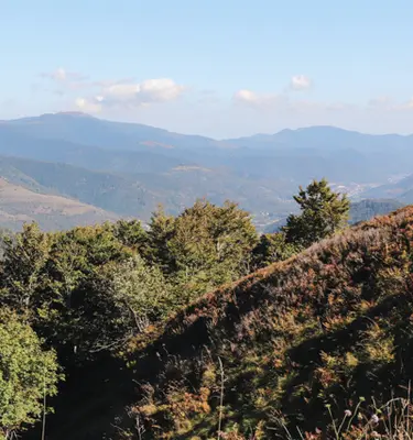 petit-ballon-markstein--grand-ballon