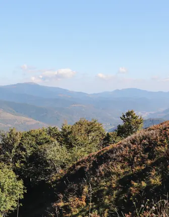 petit-ballon-markstein--grand-ballon