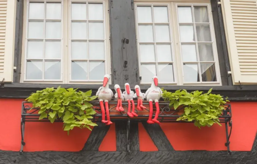 Fenêtre décorée en Alsace