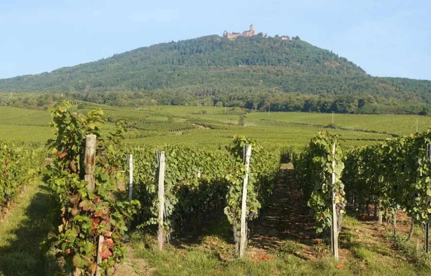 Château de Haut Koenigsbourg