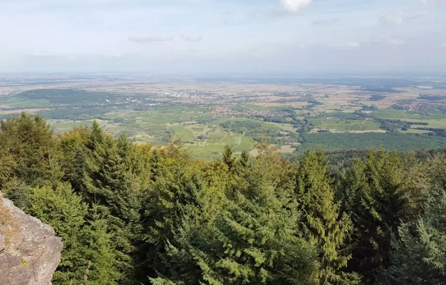 Randonnée au Mont Saint Odile