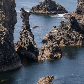 bcourbin aiguilles-prot-coton