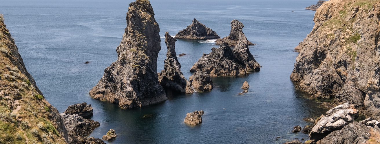 bcourbin aiguilles-prot-coton