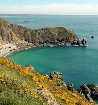 cotentin-nez-jobourg