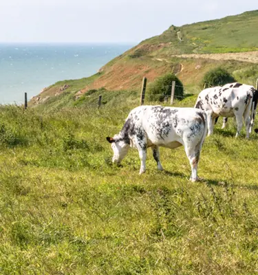 cote-bocage-normand