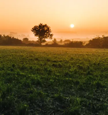 paysages-boage-normand