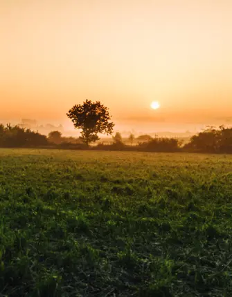 paysages-boage-normand
