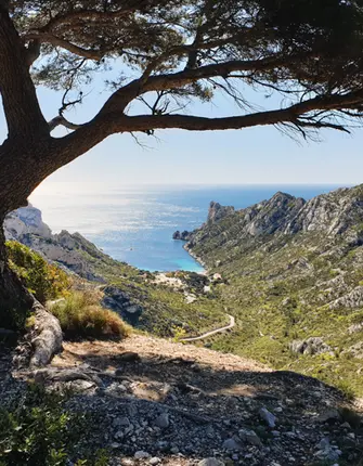 pointe-rouge-sormiou