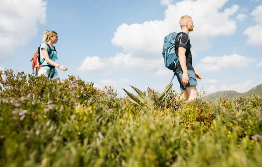 Randonnée dans les monts du Cantal