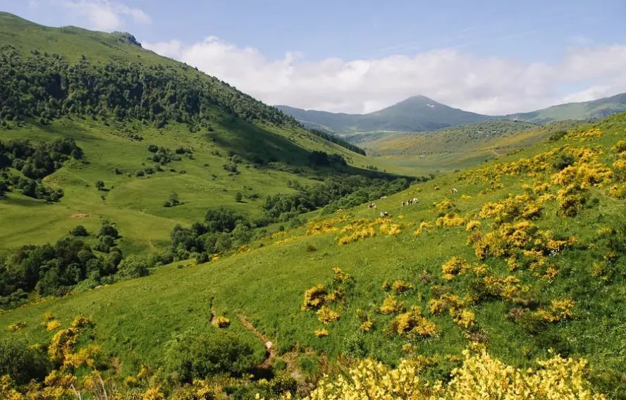 Randonnée découverte de la flore
