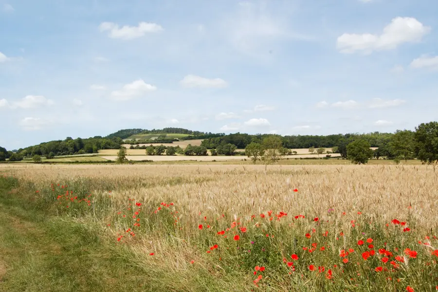 D'Avallon à Vézelay, découverte de la Bourgogne