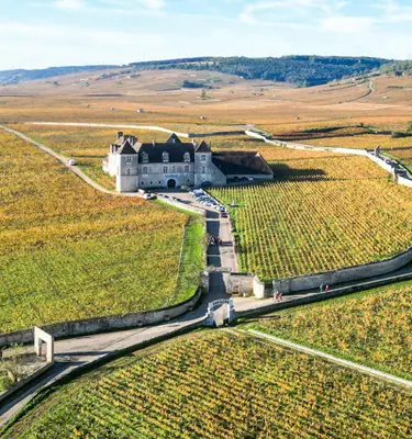 les-grands-crus-de-bourgogne