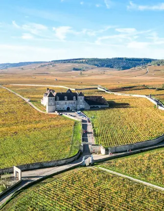 les-grands-crus-de-bourgogne