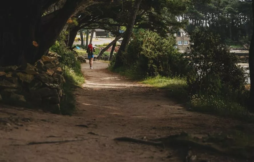 Randonnée douce sans difficulté de terrain