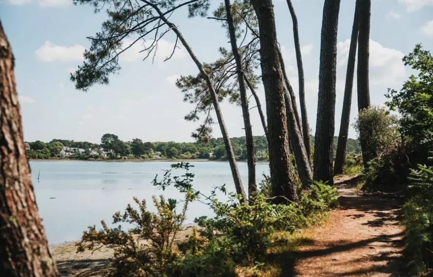 Pointe d'Arradon, randonnée douce sans difficulté de terrain