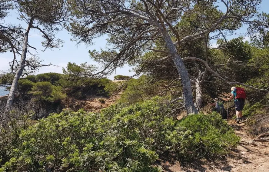 L'alliance idéale de la randonnée et du voilier