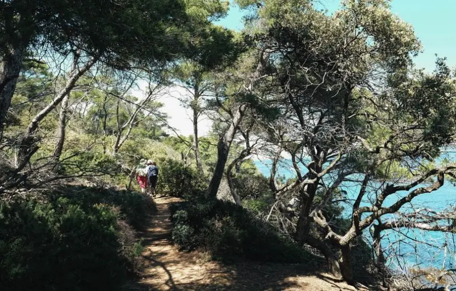 Maures et île de Port-Cros