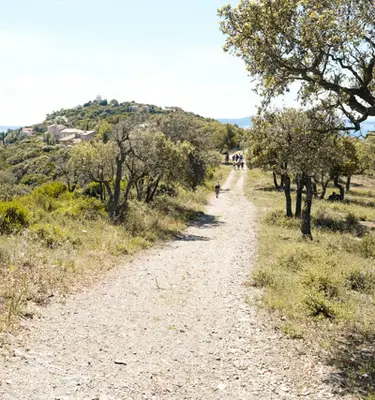 corniche-des-maures-et-ile-de-port-cros