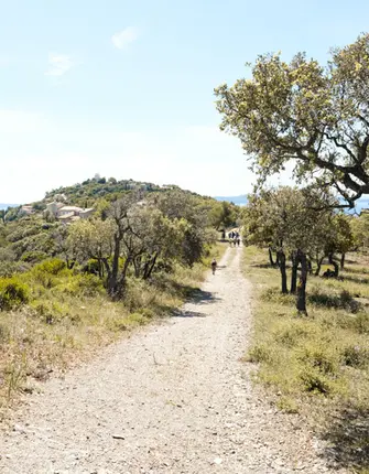 corniche-des-maures-et-ile-de-port-cros