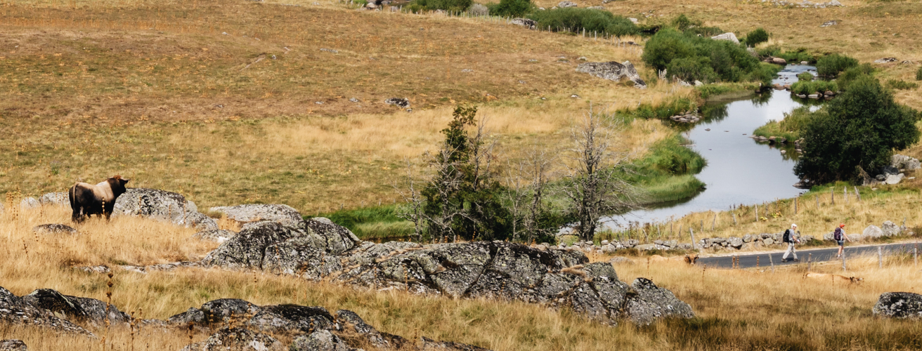 plateau-aubrac